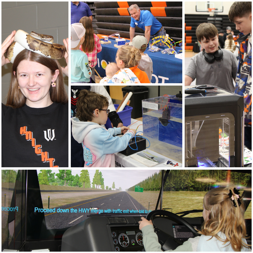 Collage of photos from the STEM festival